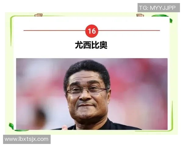 足球明星背后的故事与成就全揭秘，探索他们的辉煌人生与职业生涯